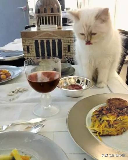 买不起香奈儿包包还可以买什么,买不起系列香奈儿