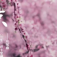 各银行免年费信用卡推荐,2020年个人银行卡免年费