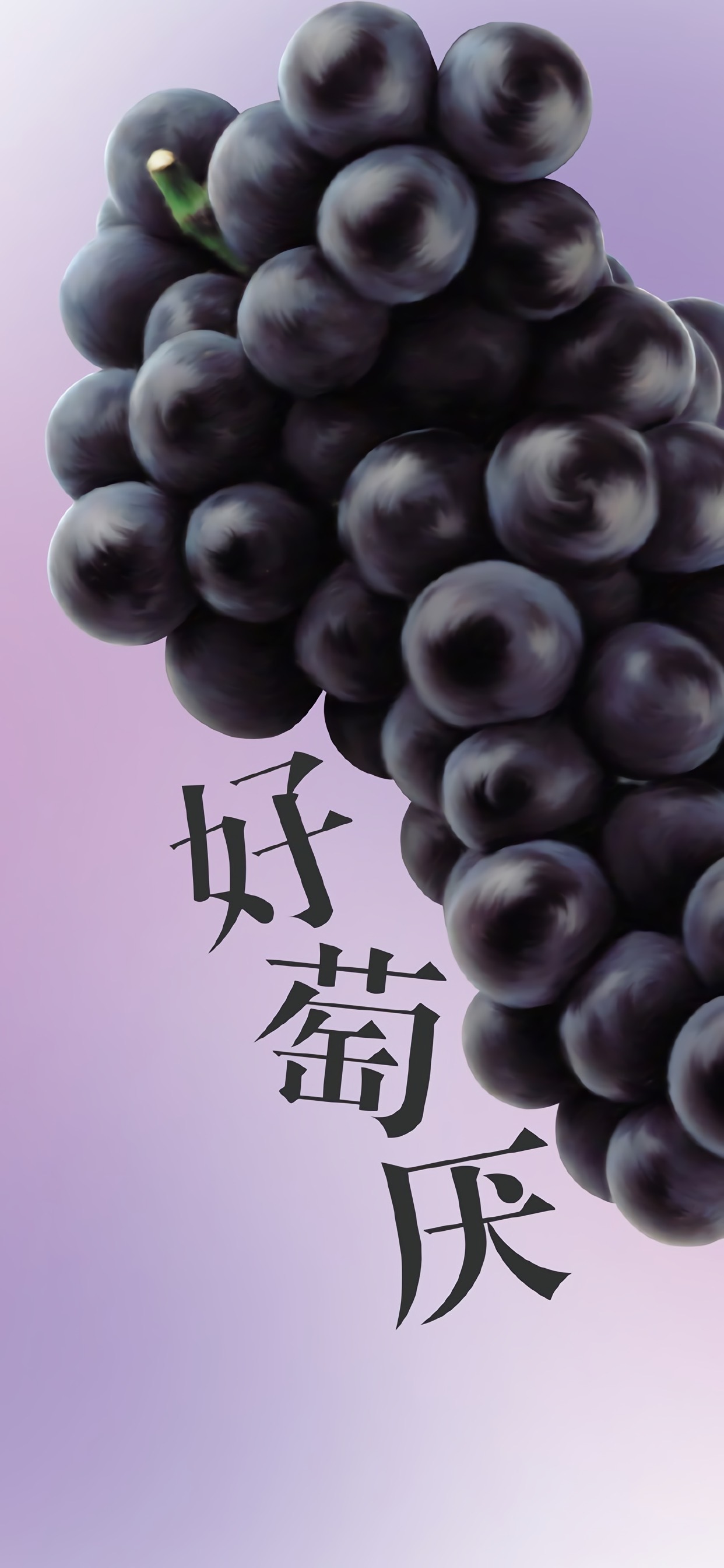 高清美食手机壁纸图片大全,高清手机壁纸美食简约