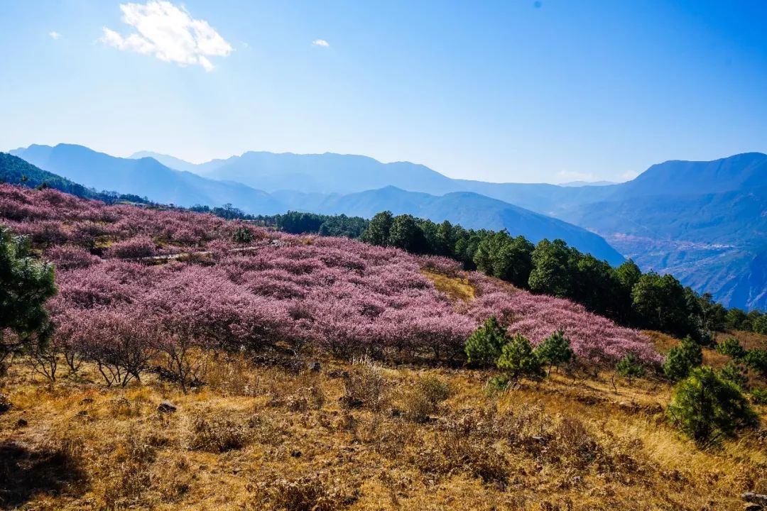 说秋道冬话永胜，气候多样人宜居