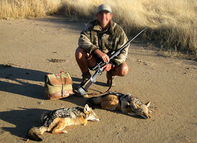 黑背胡狼智谋最高吗,黑背胡狼的弱点