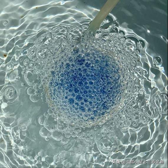 鱼缸纳米气盘好还是普通气泡石好,怎么清理纳米气盘