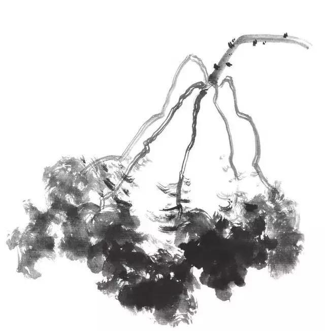 白描荷花的画法图片,如何画荷花白描大片