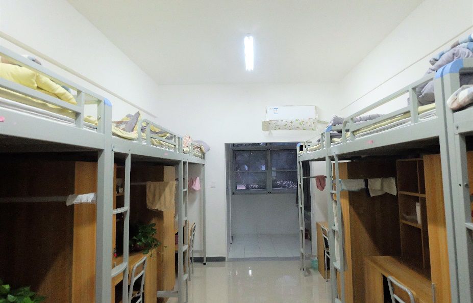 2021年郑州小升初择校必看的15所热门民办初中食宿情况集合