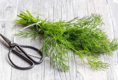 一道美味佳肴做法,米斯特海鲜芝士焗饭