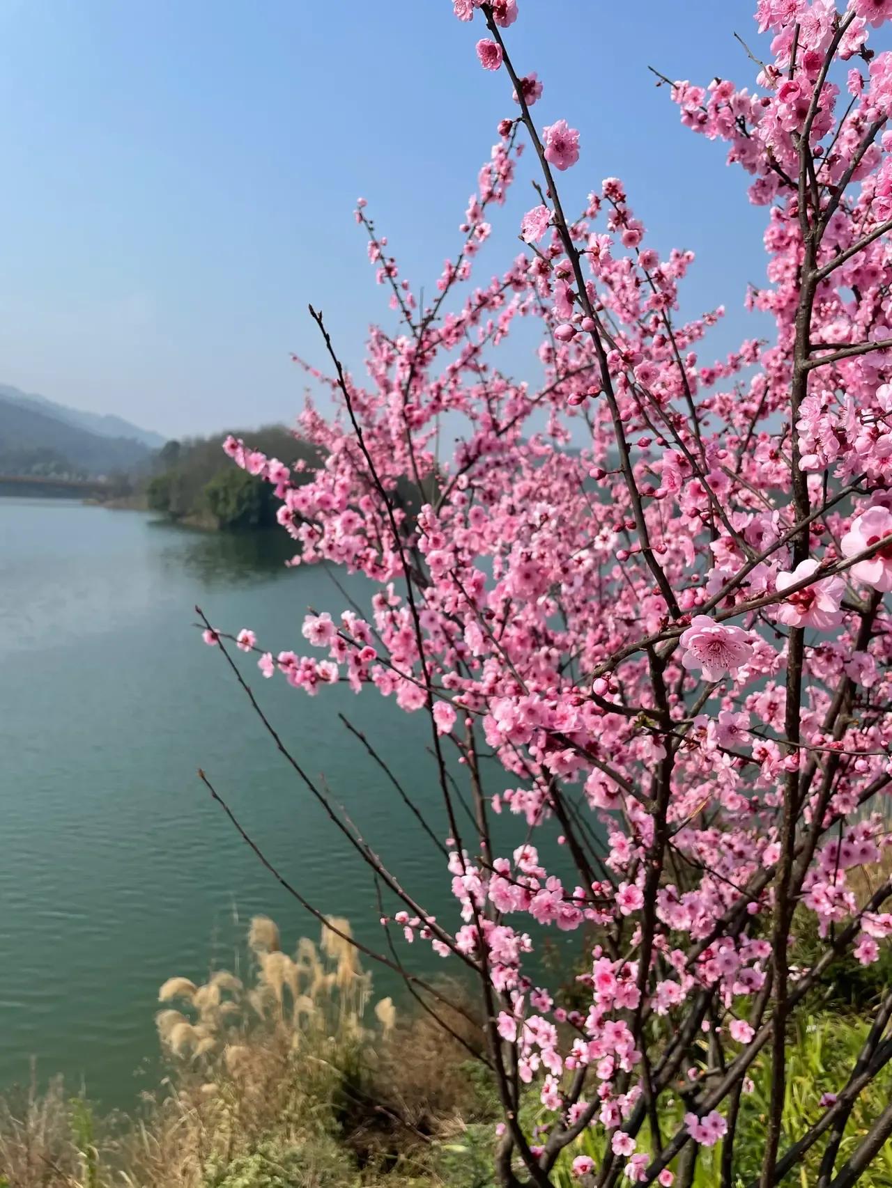 渝西旅游攻略一日游,渝西环线自驾游攻略