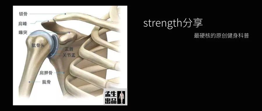 盂与臼——关节盂与关节臼的汉字渊源