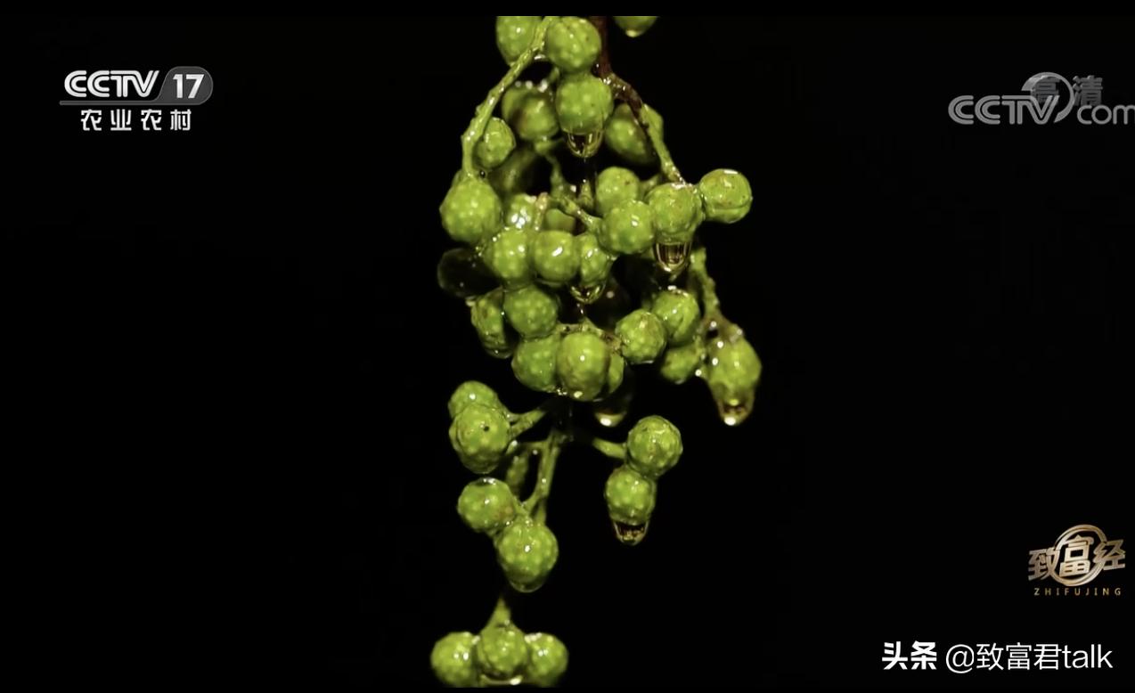 赚麻了：废蒸汽都能拿来赚钱