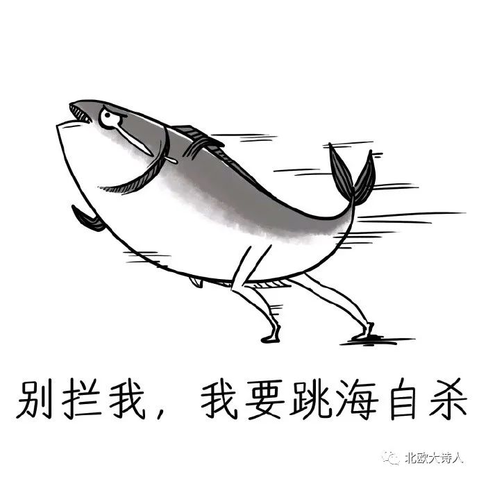 屁股漏油的锅，挪威鳕鱼不背!