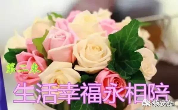 情人节最美的祝福送给最在乎的人,5月21日情人节祝福语