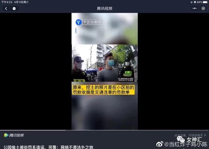 猫咪带回家后不解手,学会哪招才能让不听话的猫咪听话