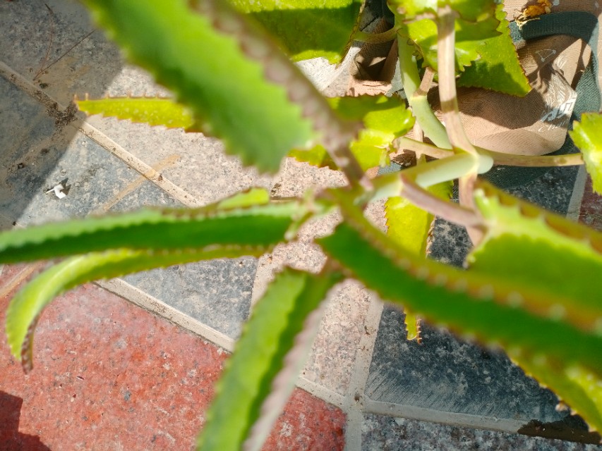 我的第一块智能手表,我的第一块运动手表