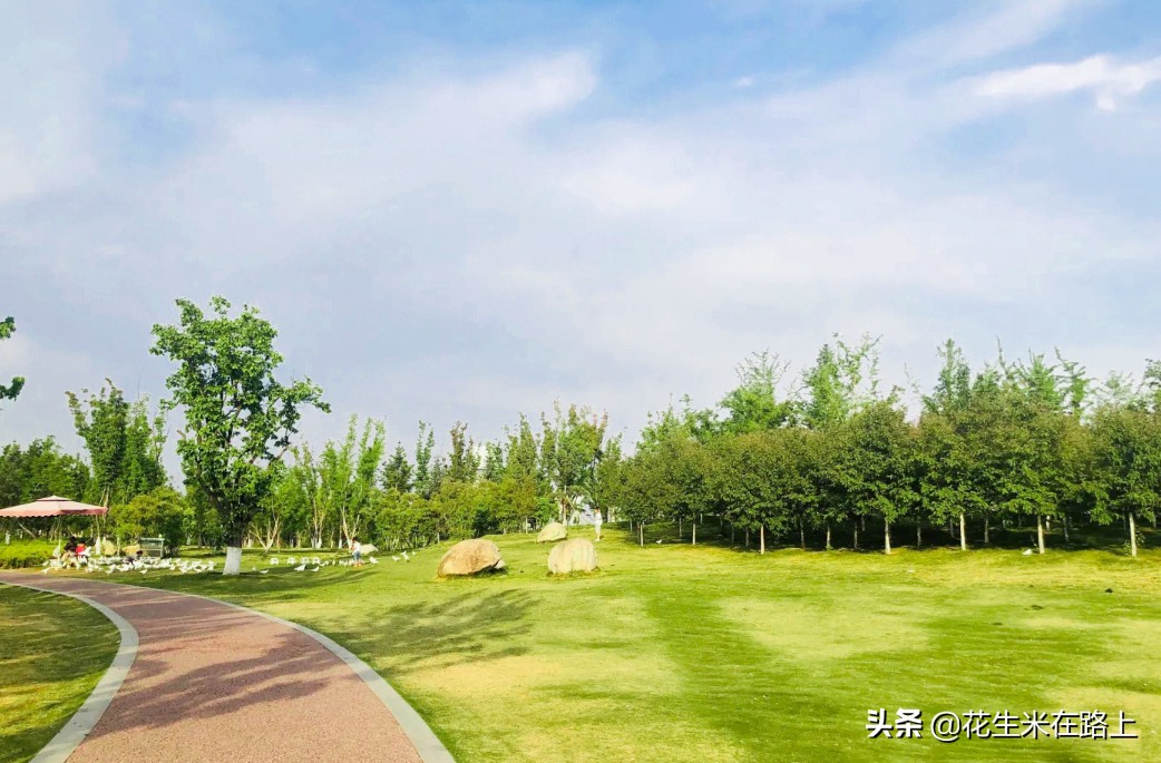 西安冬季带娃好去处户外公园,西安遛娃一日游的绝佳去处公园