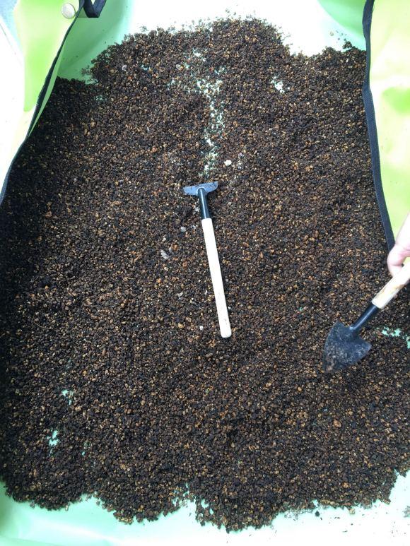 养花就怕土壤带菌!该怎么解决隐患?学会这3招,方便又实用