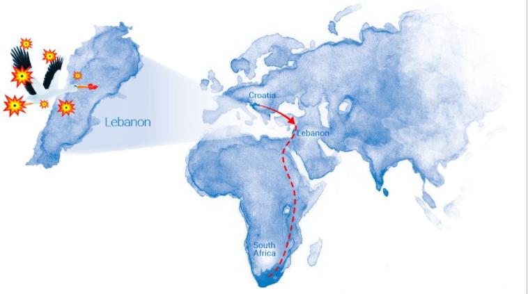 18年感人的爱情故事视频,18年感人的爱情故事