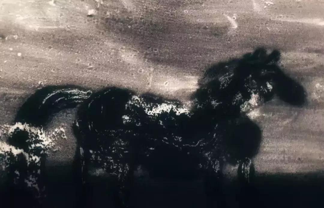 神秘的藏地精灵，米拉子子与米拉的故事