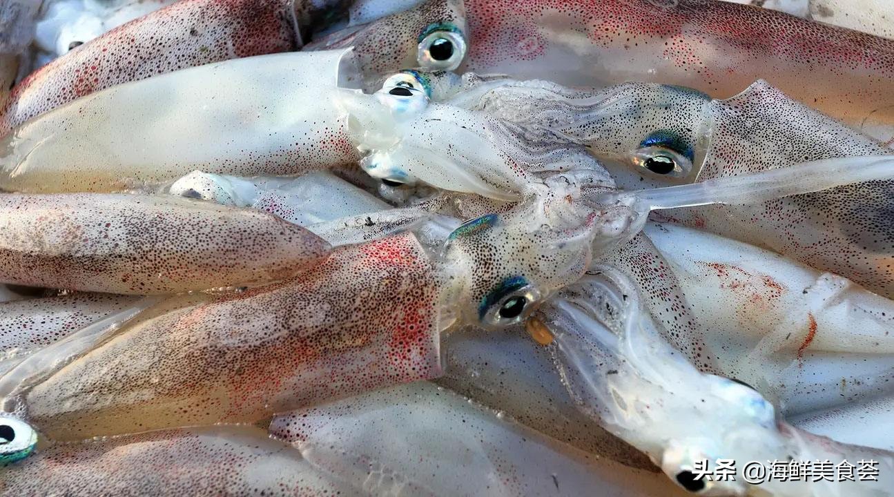 沿海最好吃的菜,好吃的小海鲜都有哪些