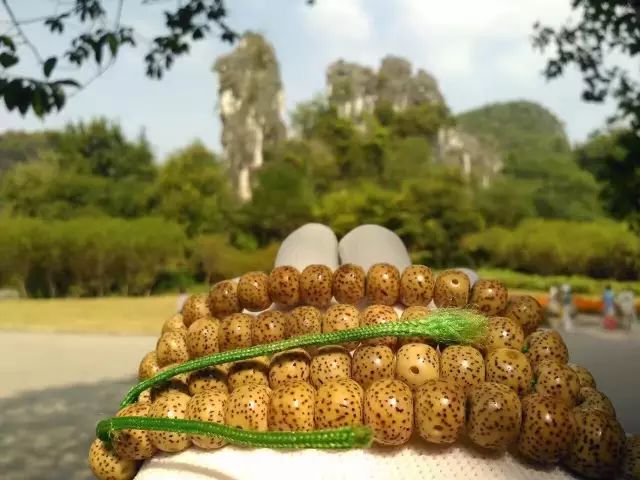 文玩手串刚开始买哪个比较好,新手最适合入手的文玩手串价位