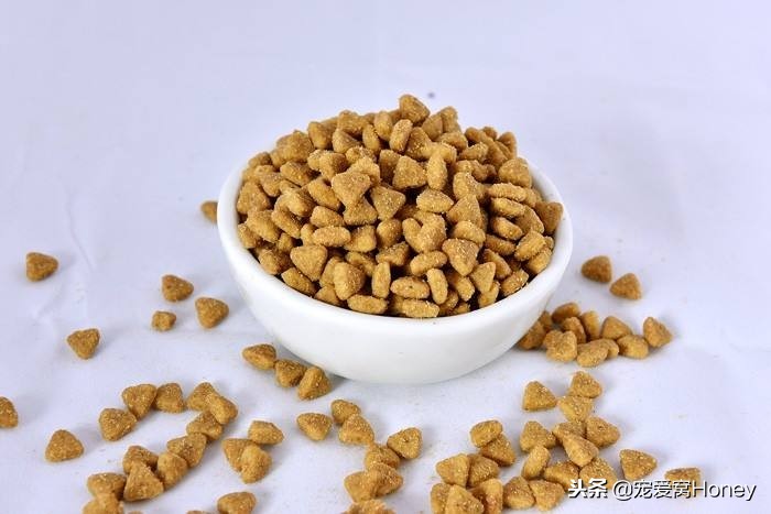 木质家具被猫咪抓了怎么修复,实木家具被猫抓坏了怎么修补