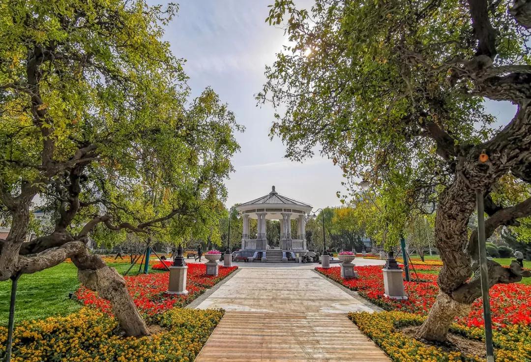 天津2022年四月开放的公园,天津北辰郊野公园现在开放吗