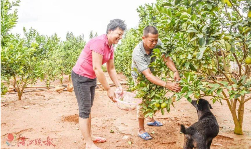 霍曼指责不该用童工，要求取消全红婵金牌，无视14岁德国选手