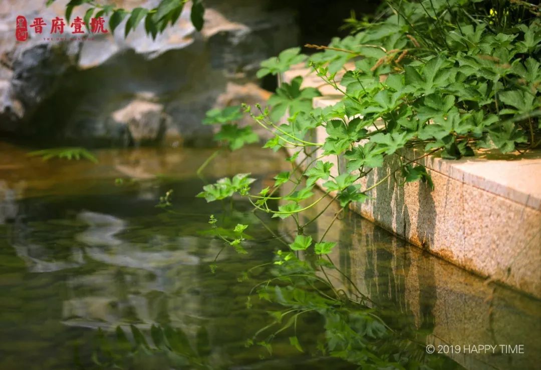 星河晋府壹号业主乔迁,晋府壹号业主