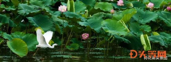昆明嘉丽泽恒大养生谷瑜伽,昆明恒大嘉丽泽养生谷开工