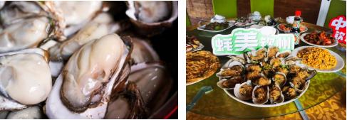 寻找钦州民间大蚝｜达人集结钦州，奔赴山海间的“蚝”门盛宴