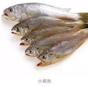 心痛的感觉!八种海鲜暂别啦