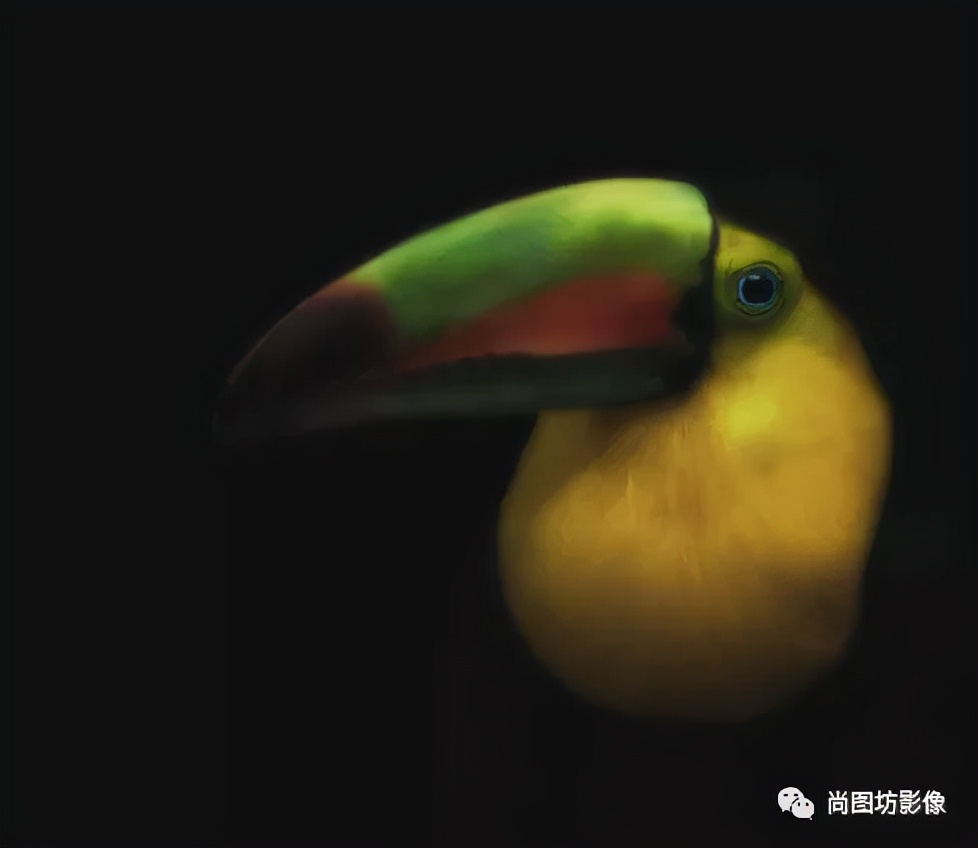 国际摄影展获奖作品,国际摄影获奖作品欣赏第88期