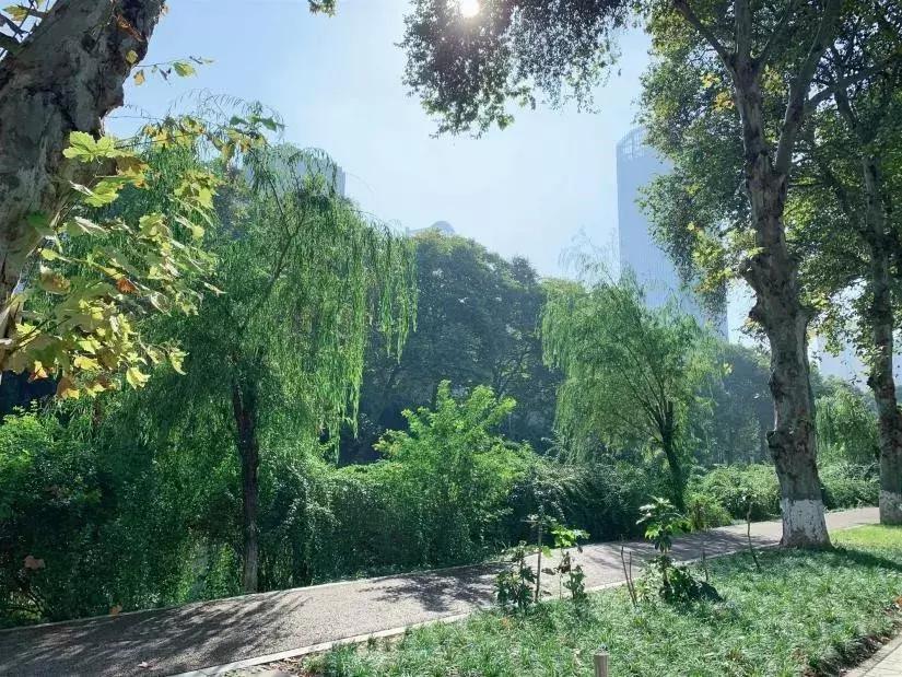 蒙氏教育幼儿园探园,参观蒙氏幼儿园的相关问题