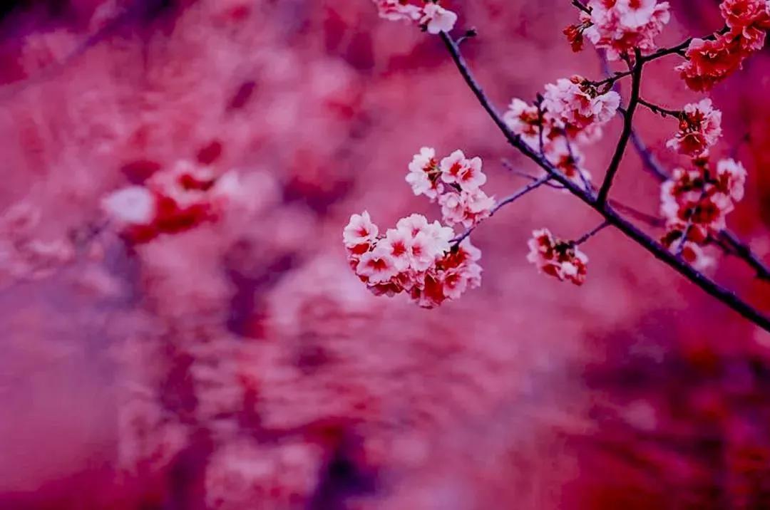 今天宜良景点哪里好玩,宜良好玩的夜景