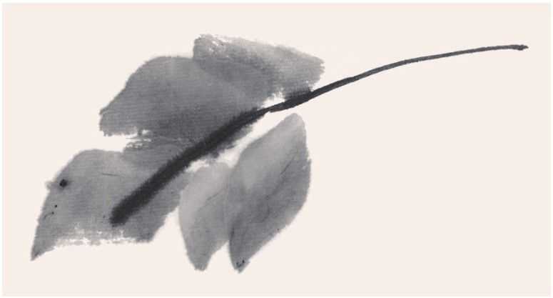 国画牡丹叶子的画法一窍不通,如何画牡丹花叶子和枝干国画视频