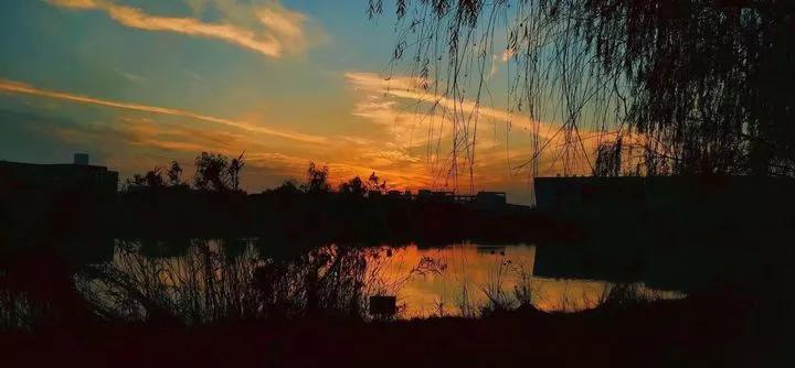 泰州学院和贵州师范大学,四十六所高校