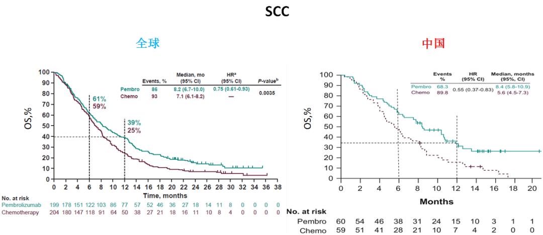 pdl-1治疗肺鳞癌,pd1治疗鳞状细胞癌