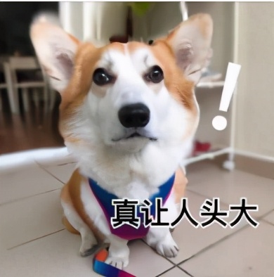 美国大学SPS继续教育学院学历得不到国内认可？值得去读吗？