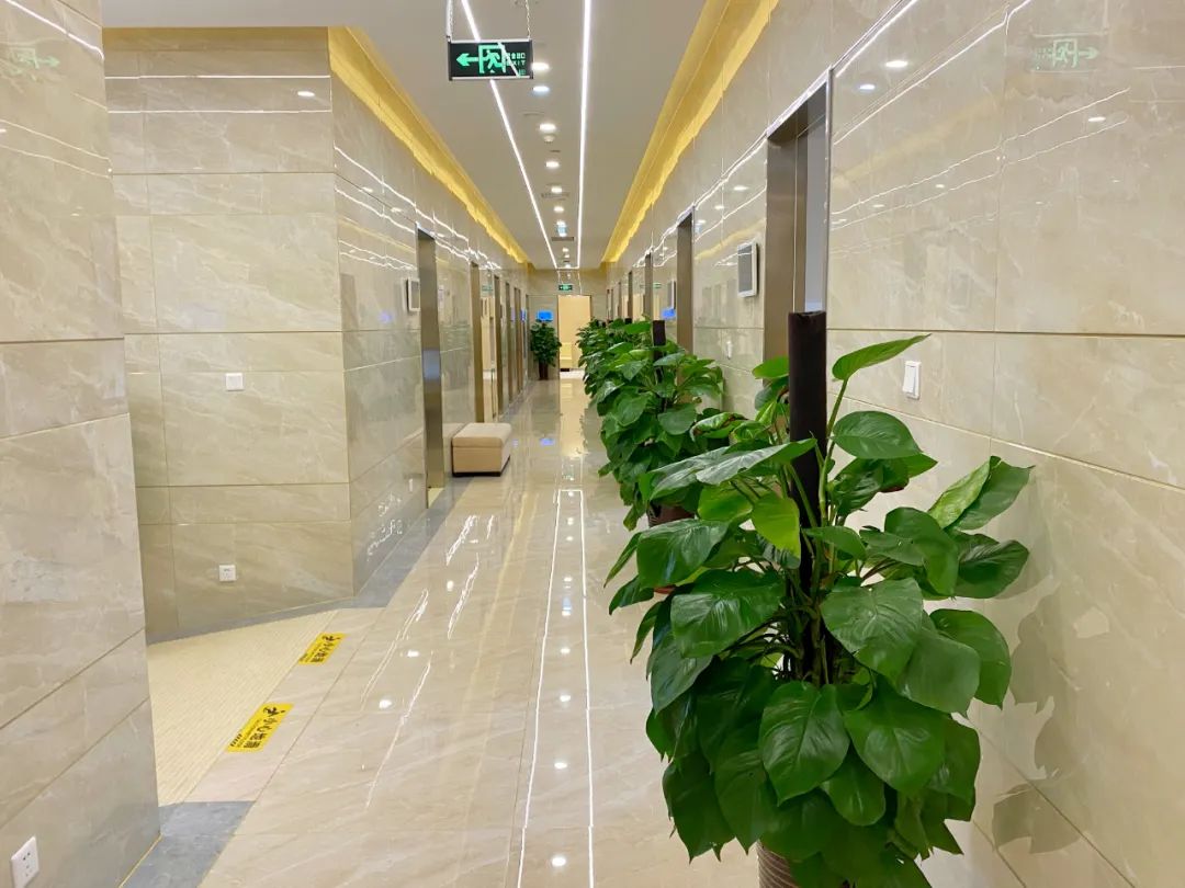 四美探店||市中心这家商场升级啦!新增9家商户,超多惊喜