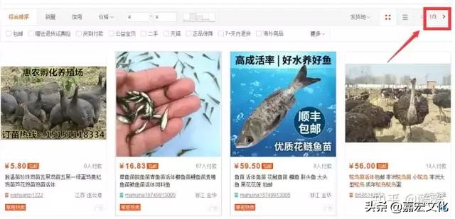 十二个赚钱方法,12种赚钱的方式