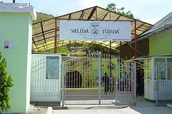 矿山生态修复的现状问题及对策,矿山修复案例小标题