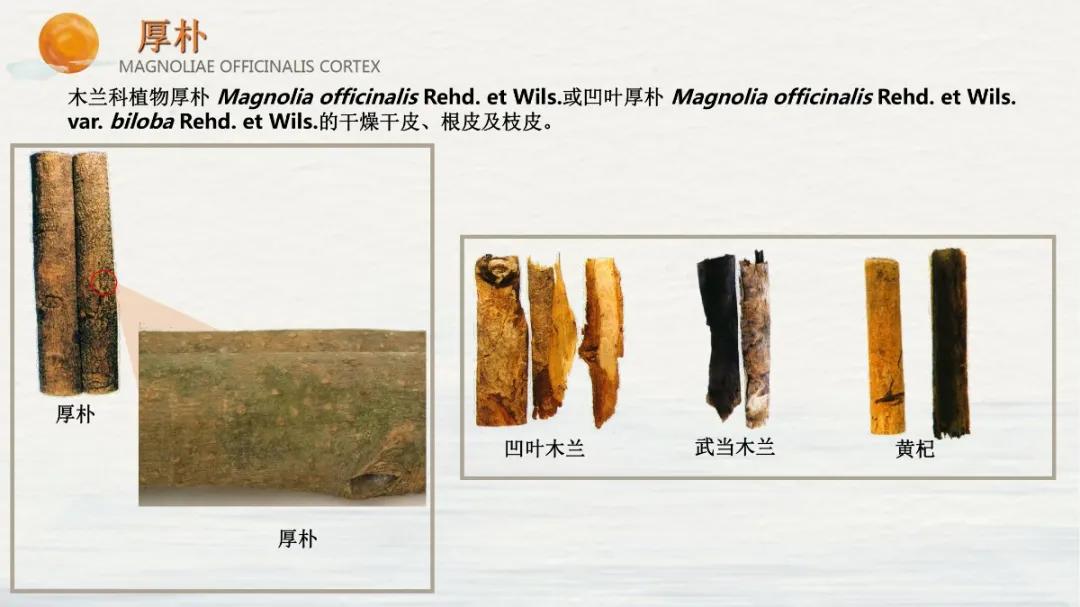 常见中药饮片假劣鉴别,中药饮片真伪鉴别