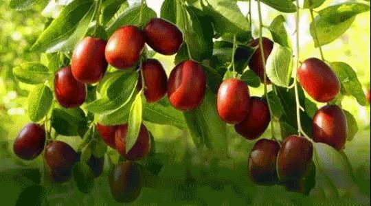 新疆广袤的沙漠地下真的有暗河吗,新疆的沙漠有一个大洞