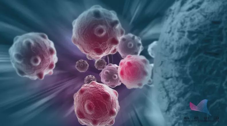 大蒜不能整个吃吗,大蒜吃多了对肠胃有何影响