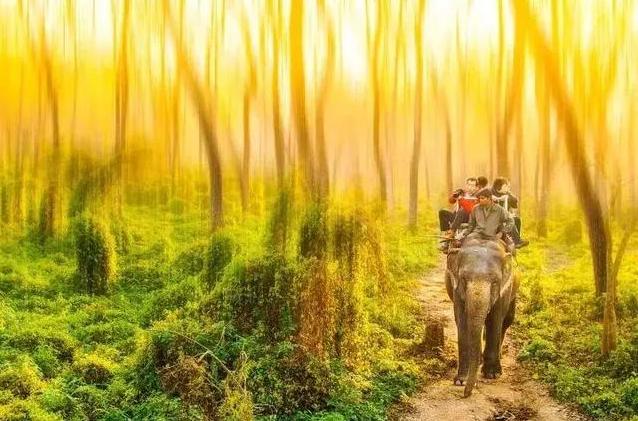 尼泊尔的钻石很便宜是真的吗,尼泊尔钻石