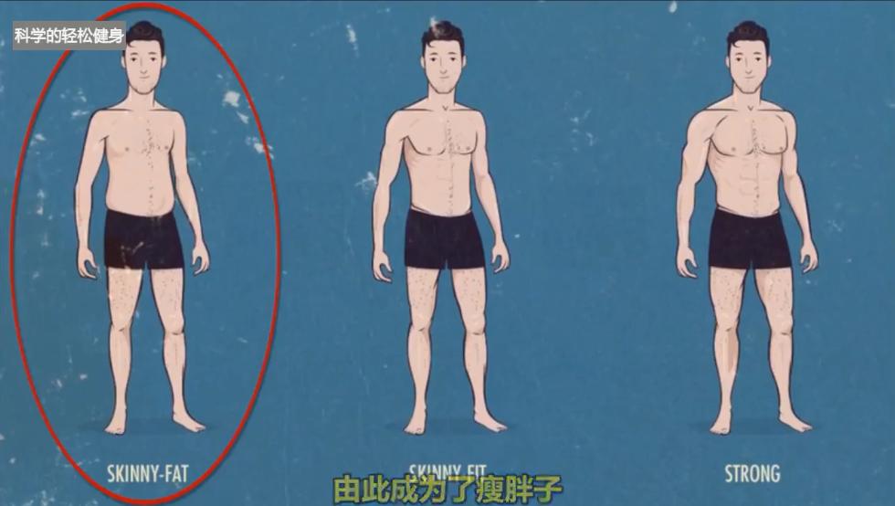 体重不大但是肚子有赘肉,体重不大肥肉多