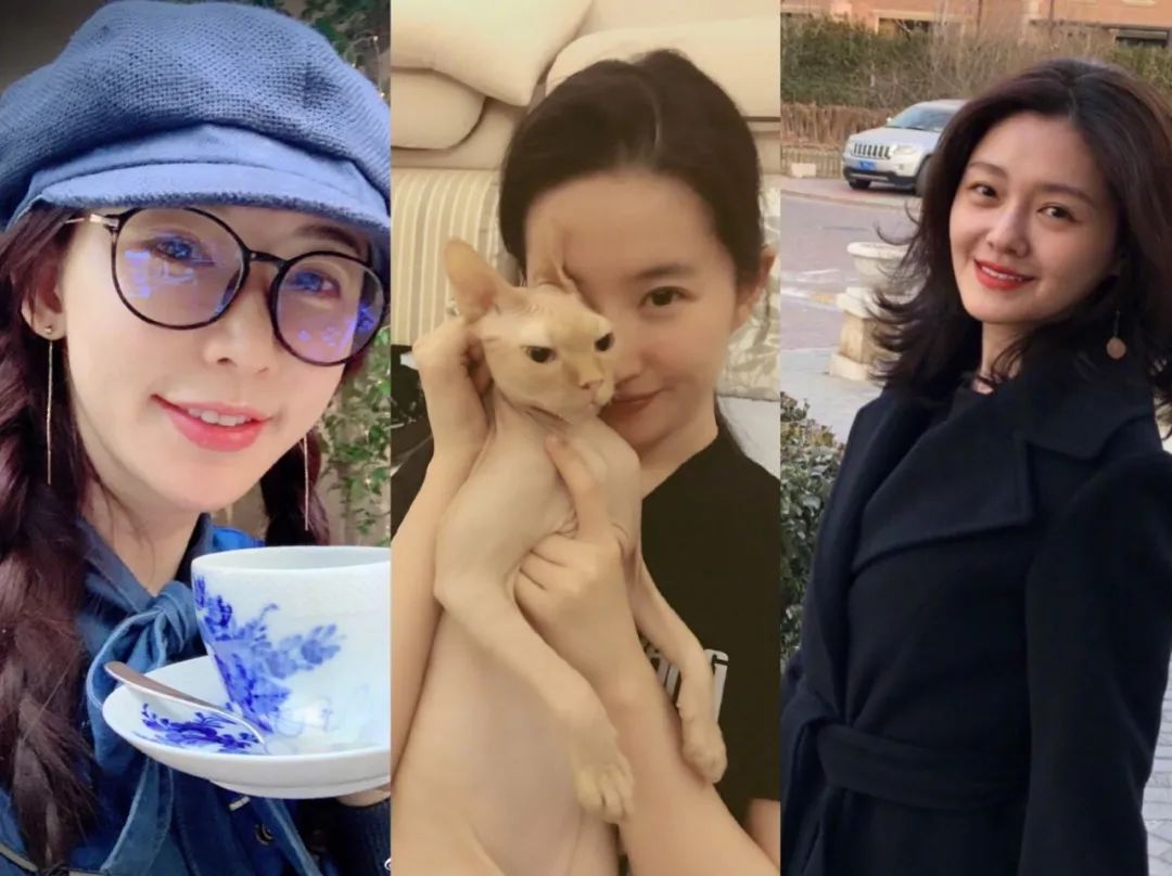 姚晨和刘涛高清图片大全,41岁刘涛和40岁姚晨同登杂志