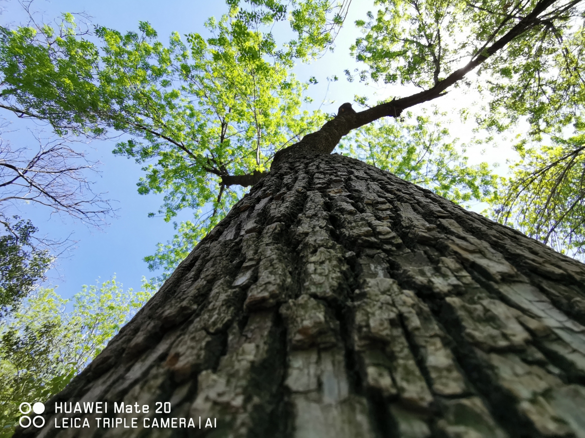 华为mate20测评什么处理器,华为mate20测评最新