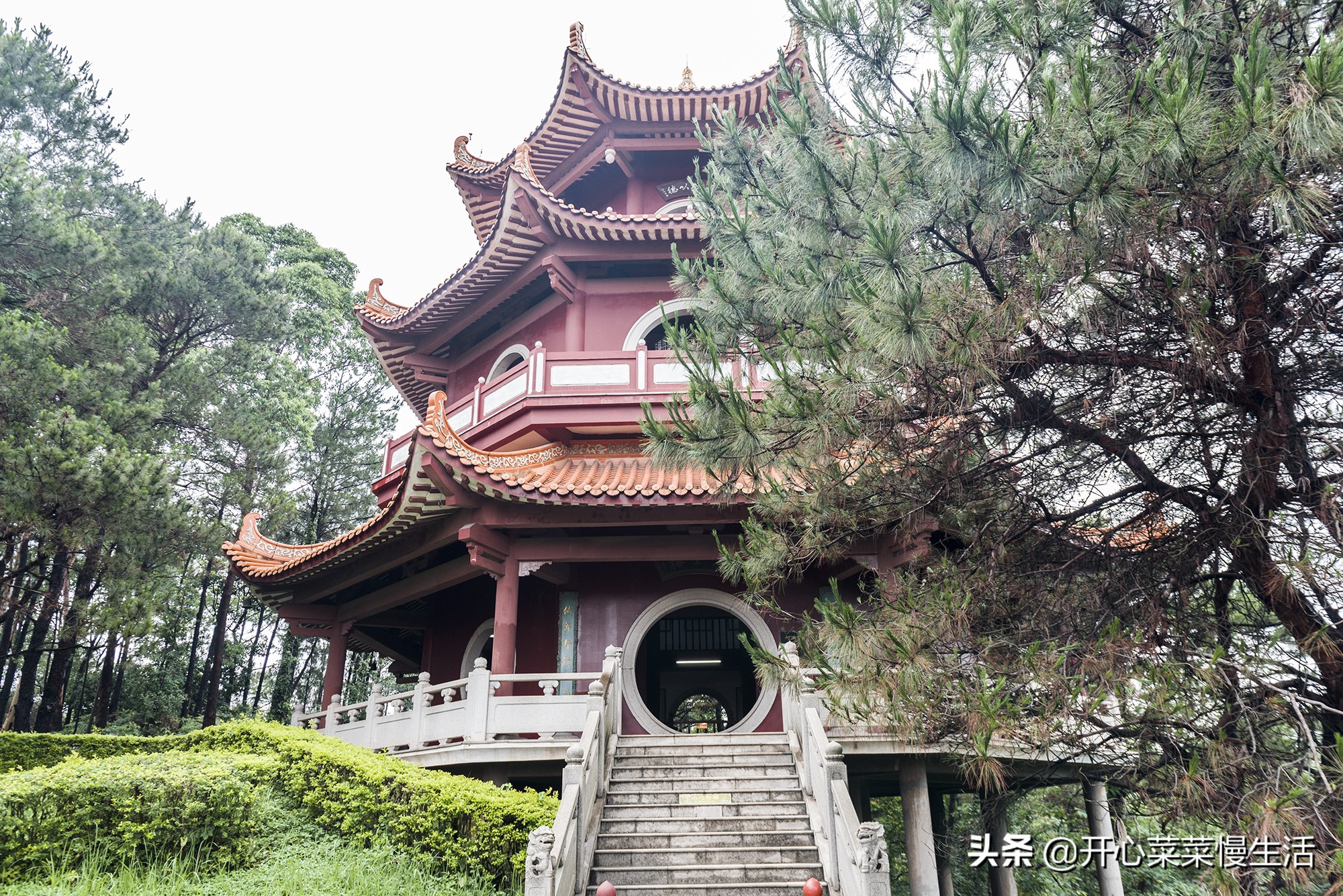 佛山10个必去打卡景点攻略,佛山最值得打卡的景点