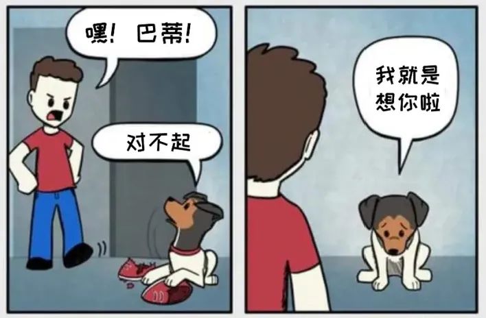 猫和铲屎官漫画全集,铲屎官和狗子的漫画