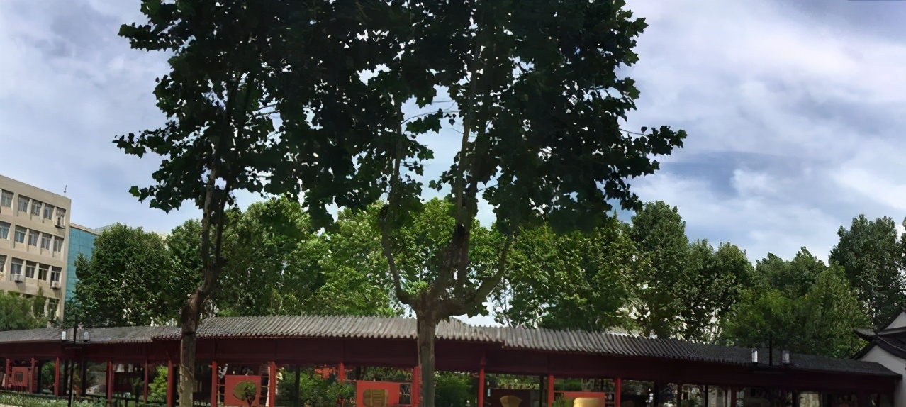 2020郑州九中一本录取率,郑州第一批次高中录取条件