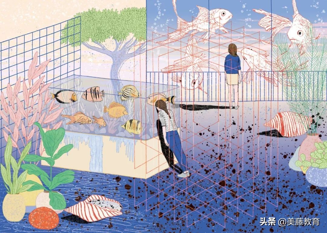 美国长大的中国孩子学习成绩好吗,美国注重孩子的学习成绩吗